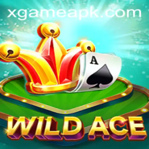 WildAce: The Thrilling New Addition to the XGAME Universe